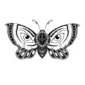 Tattoo design: Butterfleye