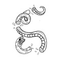 Tattoo design: Chopped Snake