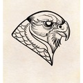Tattoo design: Hawk Head