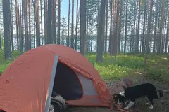 Vuokrataan (viikko): Marmot Vapor 3P