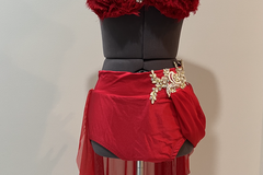 Purchase with online payment: Solo Contemporary/Lyrical Costume