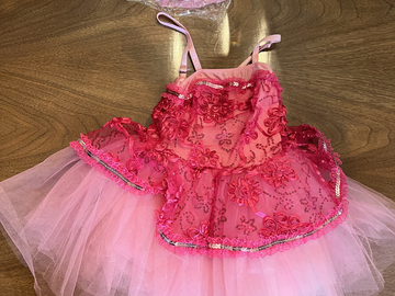 Purchase with online payment: Brand New Duo/Trio Ballet Costume