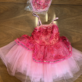 Purchase with online payment: Brand New Duo/Trio Ballet Costume