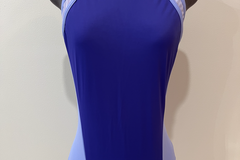 Purchase with online payment: Brand New Duo/Trio Contemporary/Lyrical Costume