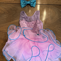 Purchase with online payment: Brand New Duo/Trio Ballet Costume