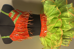 Purchase with online payment: Small Group Jazz/Tap Costume