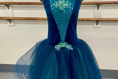 Purchase with online payment: Brand New Large Group Ballet Costumes