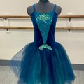 Purchase with online payment: Brand New Large Group Ballet Costumes