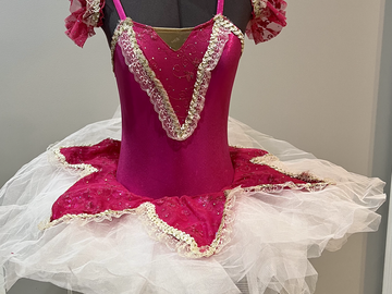 Purchase with online payment: Brand New Duo/Trio Ballet Costume
