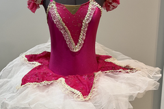 Purchase with online payment: Brand New Duo/Trio Ballet Costume