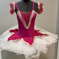 Purchase with online payment: Brand New Duo/Trio Ballet Costume