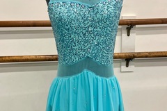 Purchase with online payment: Small Group Contemporary/Lyrical Costumes