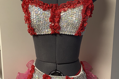 Purchase with online payment: Large Group Jazz/Tap Costumes