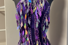 Purchase with online payment: Large Group Jazz/Tap Costumes
