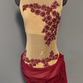 Purchase with online payment: Small Group Contemporary/Lyrical Costumes