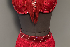 Purchase with online payment: Solo Jazz/Tap Costume