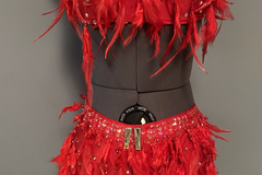 Purchase with online payment: Solo Jazz/Tap Costume