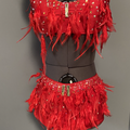 Purchase with online payment: Solo Jazz/Tap Costume