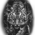 Tattoo design: Stalking tiger