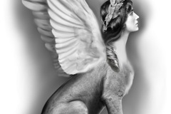 Tattoo design: Greek Sphinx