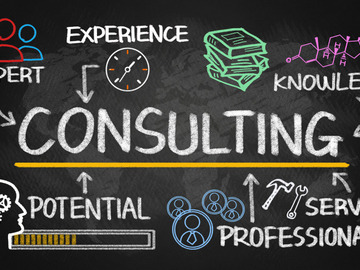 I Offer Expertise (price per hour): Management Consulting Services