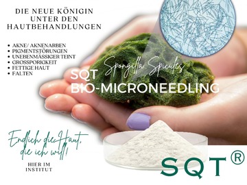 Onlinekurs Anbieter: Biomicroneedling - No. 1 - Must Have der Saison