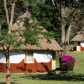 Daily Rental: Muringa Farm, Subukia, KENYA
