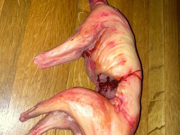 Custom : Fright Prop Skinned Rabbit