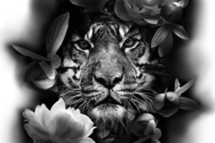 Tattoo design: Tiger with flowers