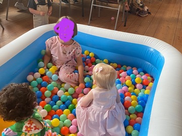 Rent per night (24 hour rental): 1200 ball pit balls 
