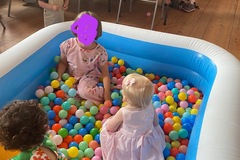 Rent per night (24 hour rental): 1200 ball pit balls 
