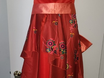 Selling with online payment: Elena of Avalor gown -  Adult M