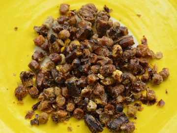 Les miels : Pain d'abeilles ou pollen lactofermenté