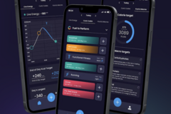 Digital Product/Service: Personalised Fuel Planner for Improved Athletic Performance