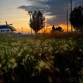 Service: Photoshoot 