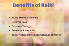 Services (Per Hour Pricing): Reiki Energy Healing
