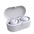 Liquidation & Wholesale Lot: Tws Bluetooth Headset 5.0 Portable In-ear Dual-pass Bluetooth Hea