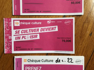 Vente: Chèques Culture Up (190€)
