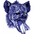 Sell Artworks: Animal portrait - Laughing Hyena
