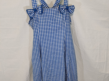 Selling with online payment: Blue and White Checkered Lolita JSK Dress