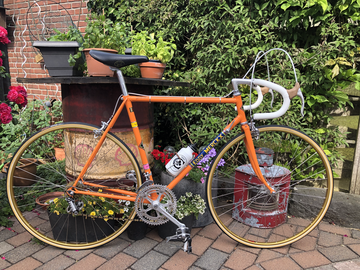 Selling: Rennrad Colnago Eddy Merckx Team Molteni Design Campagnolo