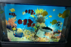 Selling: Night light for children