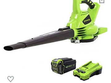 Renting out with online payment: Battery Leaf Blower