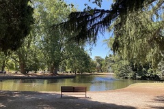 Walk-in: Wildlife watch at the tranquil table by the lake | Caulfield Park