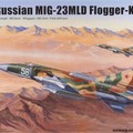 Selling with online payment: Mig-23