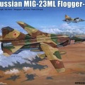 Selling with online payment: Mig-23 ML