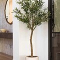 Individual Sellers: Faux Olive Tree 6'5 (77")