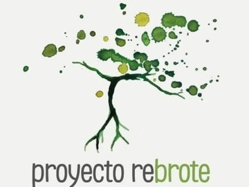 Venta: Asocia a tu empresa a la generación de Bosques Nativos 