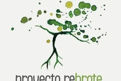 Venta: Asocia a tu empresa a la generación de Bosques Nativos 