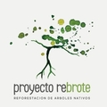 Venta: Asocia a tu empresa a la generación de Bosques Nativos 